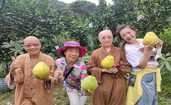 失散69年吳家四姊妹奇遇認親 一同現身頭城農場聽聞者嘖嘖稱奇 