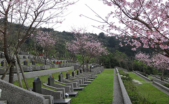 宜蘭優質墓園「櫻花陵園」 議員建議增設「納骨塔」 