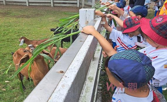 北港農工食農教育向下扎根 小一學童參訪農經科及畜保科