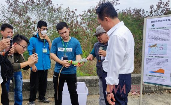 嘉義縣外來種綠鬣蜥移除防治佳 翁章梁親授予獵人臂章勉勵淨零