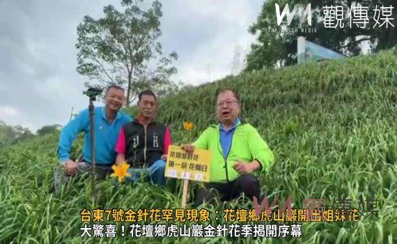 （有影片）／台東7號金針花罕見現象：花壇鄉虎山巖開出姐妹花