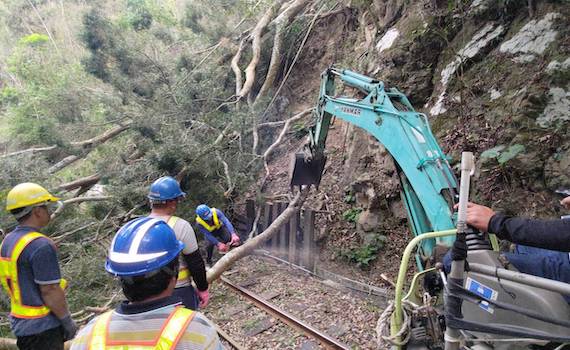 阿里山林鐵因樹倒軌道停運　經積極搶修後4/15即可正常行駛