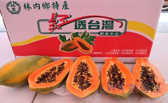 首圖