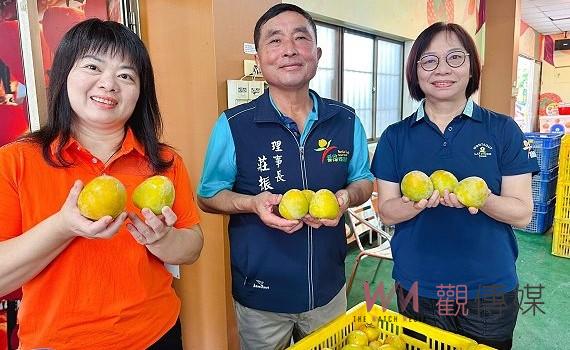 享用天然甜味與香氣　番路柿餅加工坊開柿大吉