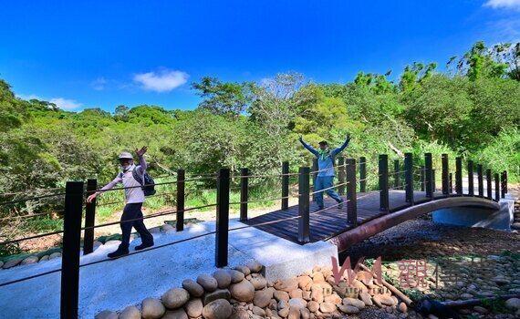 中市步道災後升級　潭子新田登山步道、大肚瑞井登山步道使用更安心