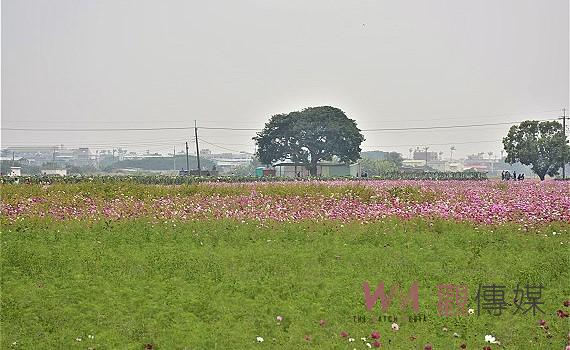 首圖