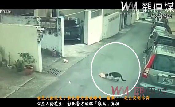 首圖