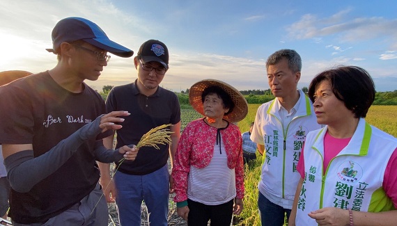 農改場的研究員楊博士也說明確實遭遇損害所產生的不稔實情形。（圖／記者蘇峰毅攝，2020.06.02）