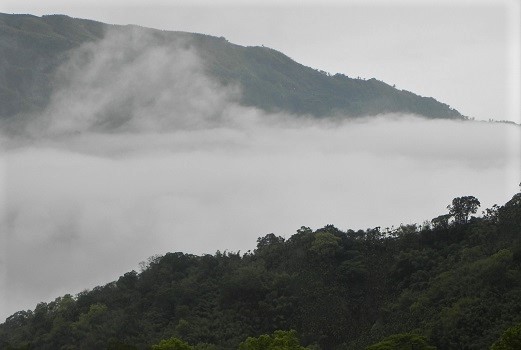 雲林幸福好好玩草嶺石壁一日遊，6月20日開跑，即日起開放網路及現場報名。（圖／記者簡勇鵬攝，2020.06.04）