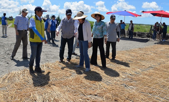 濁水溪灘地鋪蓋稻草有效抑制揚塵。（圖／記者蘇峰毅攝，2020.06.16）