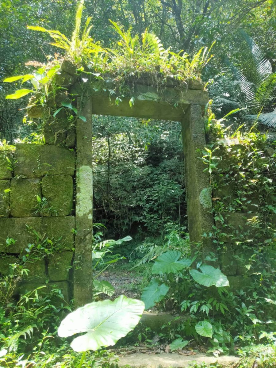 碧山藍海和諧相鄰 青苔石階曲徑通幽 - https://www.watchmedia01.com