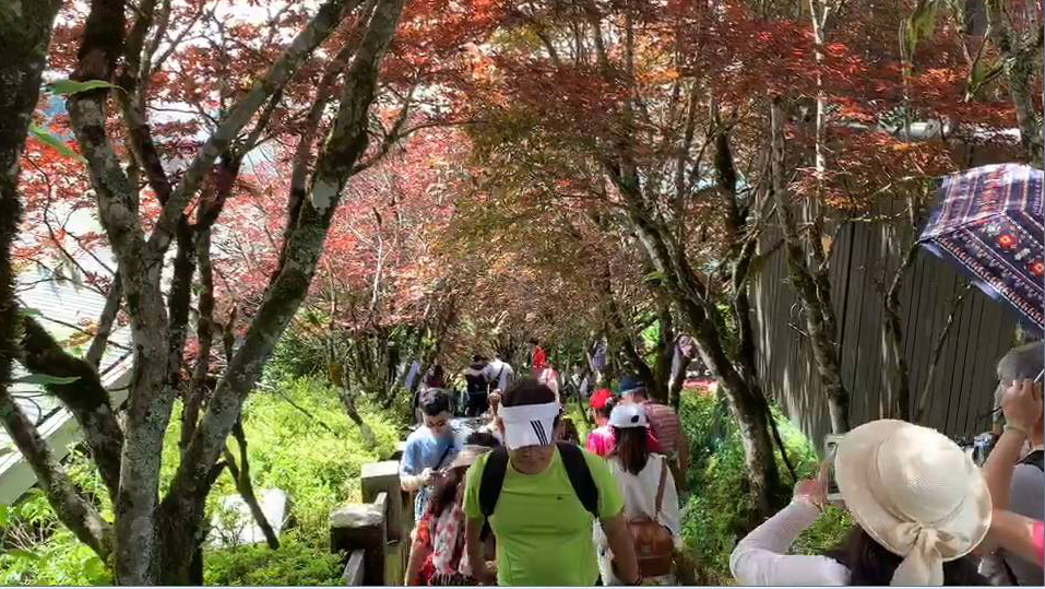 端節連假第二天 宜蘭景點出現報復性旅遊人潮 - https://www.watchmedia01.com