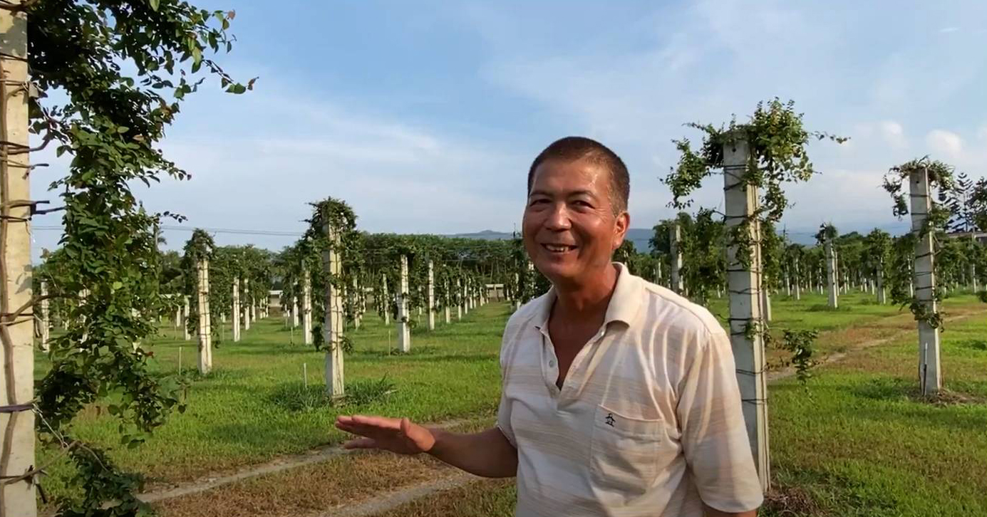 影/全台最大愛玉果園在宜蘭 佔地2公頃半年底首次採收 - https://www.watchmedia01.com