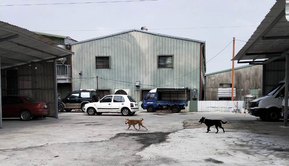 對被認養之市有地放任不管　南市府遭批行政怠惰 - https://www.watchmedia01.com