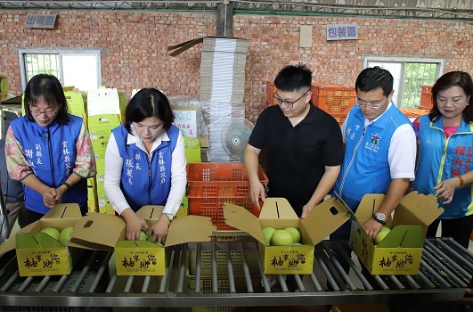 斗六文旦外銷封櫃儀式　啟動雲林農產品外銷 - https://www.watchmedia01.com