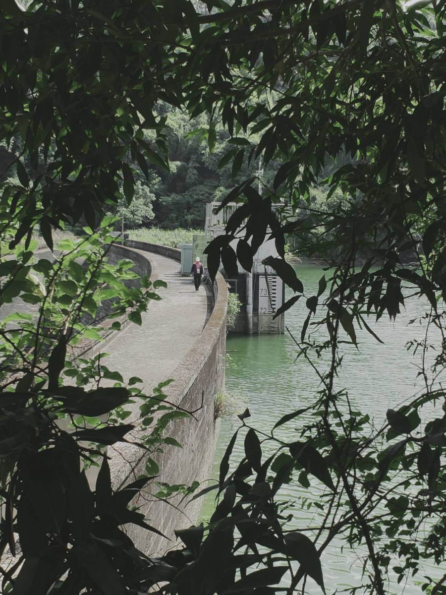 西勢越嶺古徑得天獨厚 沿途山巒絕景美不勝收 - https://www.watchmedia01.com
