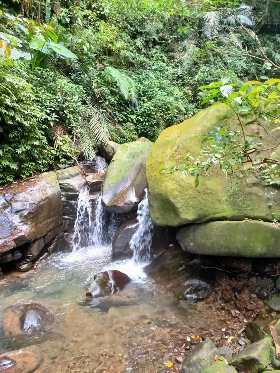 西勢越嶺古徑得天獨厚 沿途山巒絕景美不勝收 - https://www.watchmedia01.com