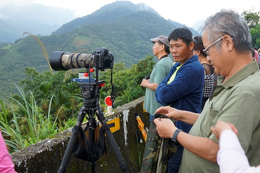 南臺國際觀鳥馬拉松開始報名　雲嘉南穿越山海追鳥24小時 - https://www.watchmedia01.com