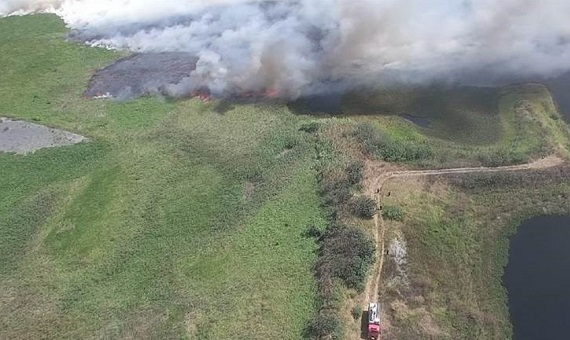 濁水溪出海灘地無名火　四河局協助撲滅火勢 - https://www.watchmedia01.com