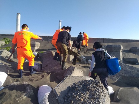 麥寮西北堤岸際發現死亡海龜　海巡人員協助處理 - https://www.watchmedia01.com