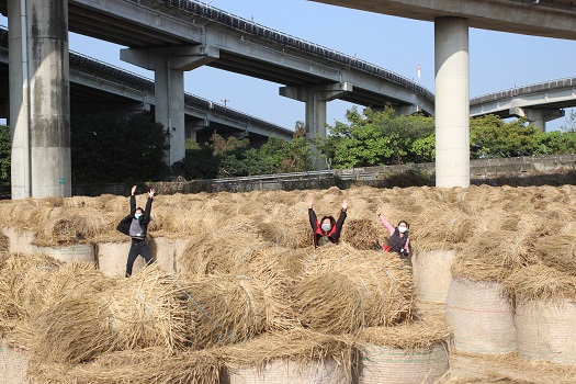 大埤稻草文化節26日登場 闖稻草捲迷宮、推草球 - https://www.watchmedia01.com
