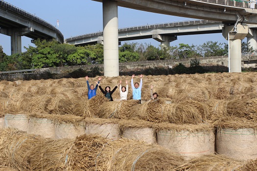 大埤稻草文化節26日登場 闖稻草捲迷宮、推草球 - https://www.watchmedia01.com
