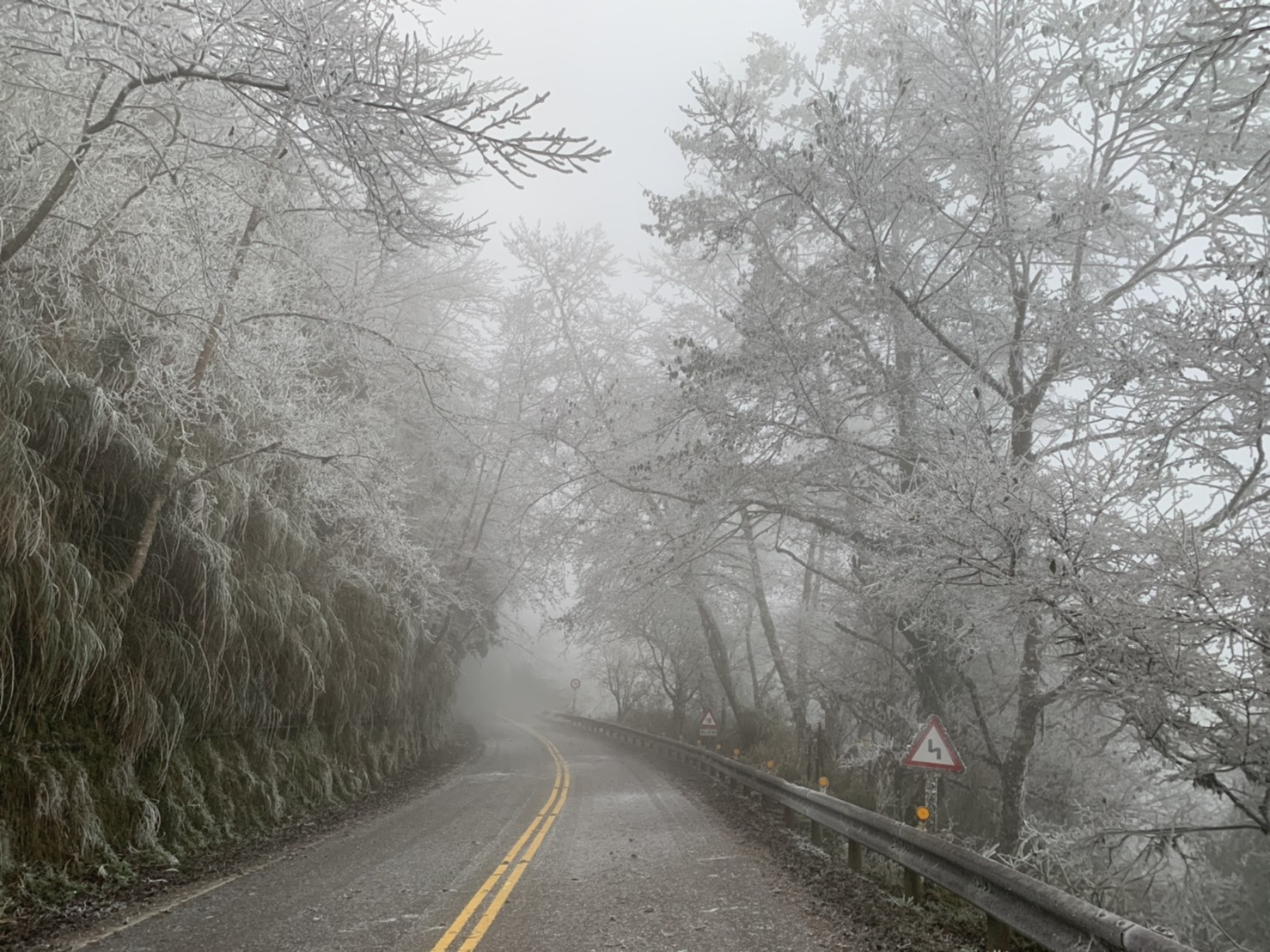寒流來襲太平山零下五度　水氣不足未下雪霧淞景像亮眼 - https://www.watchmedia01.com