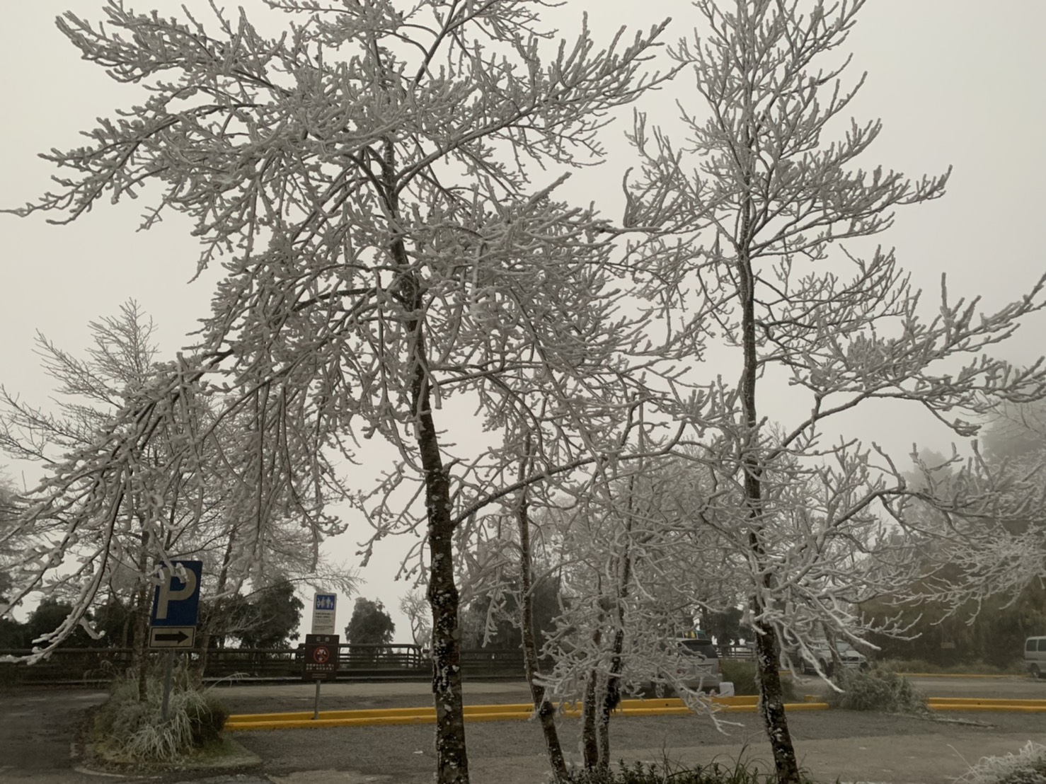 寒流來襲太平山零下五度　水氣不足未下雪霧淞景像亮眼 - https://www.watchmedia01.com