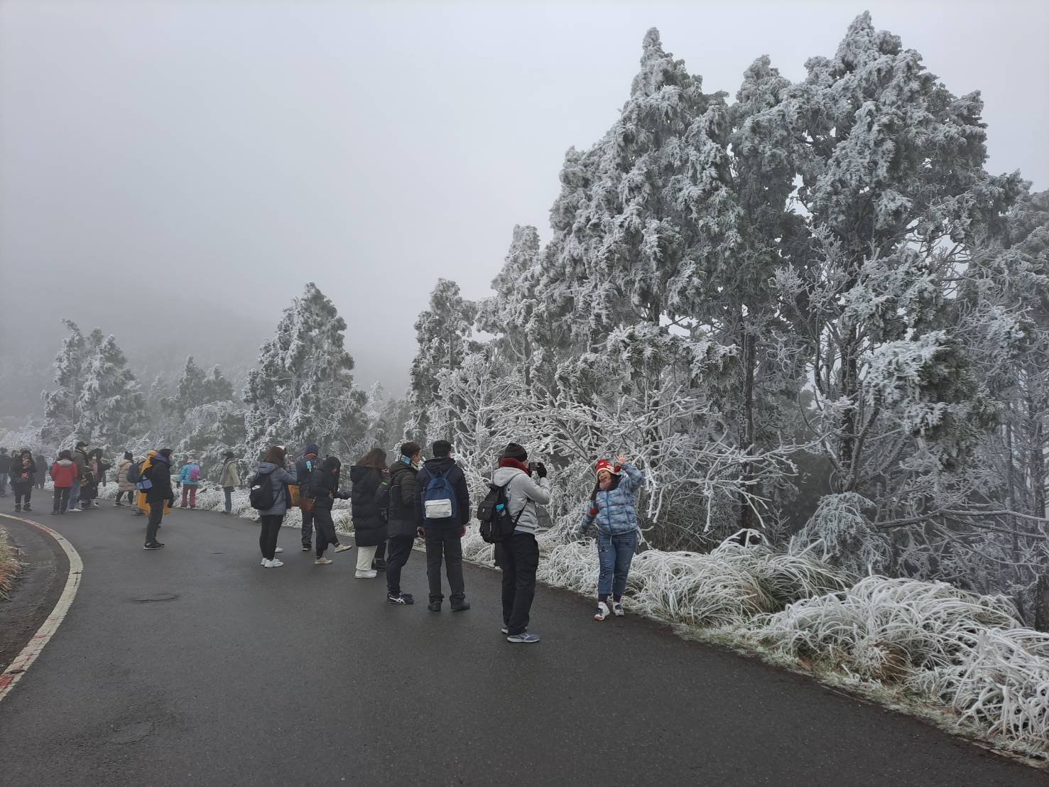 越冷越有趣元旦太平山追日賞雪去　上午9點半入園車輛已達千輛 - https://www.watchmedia01.com