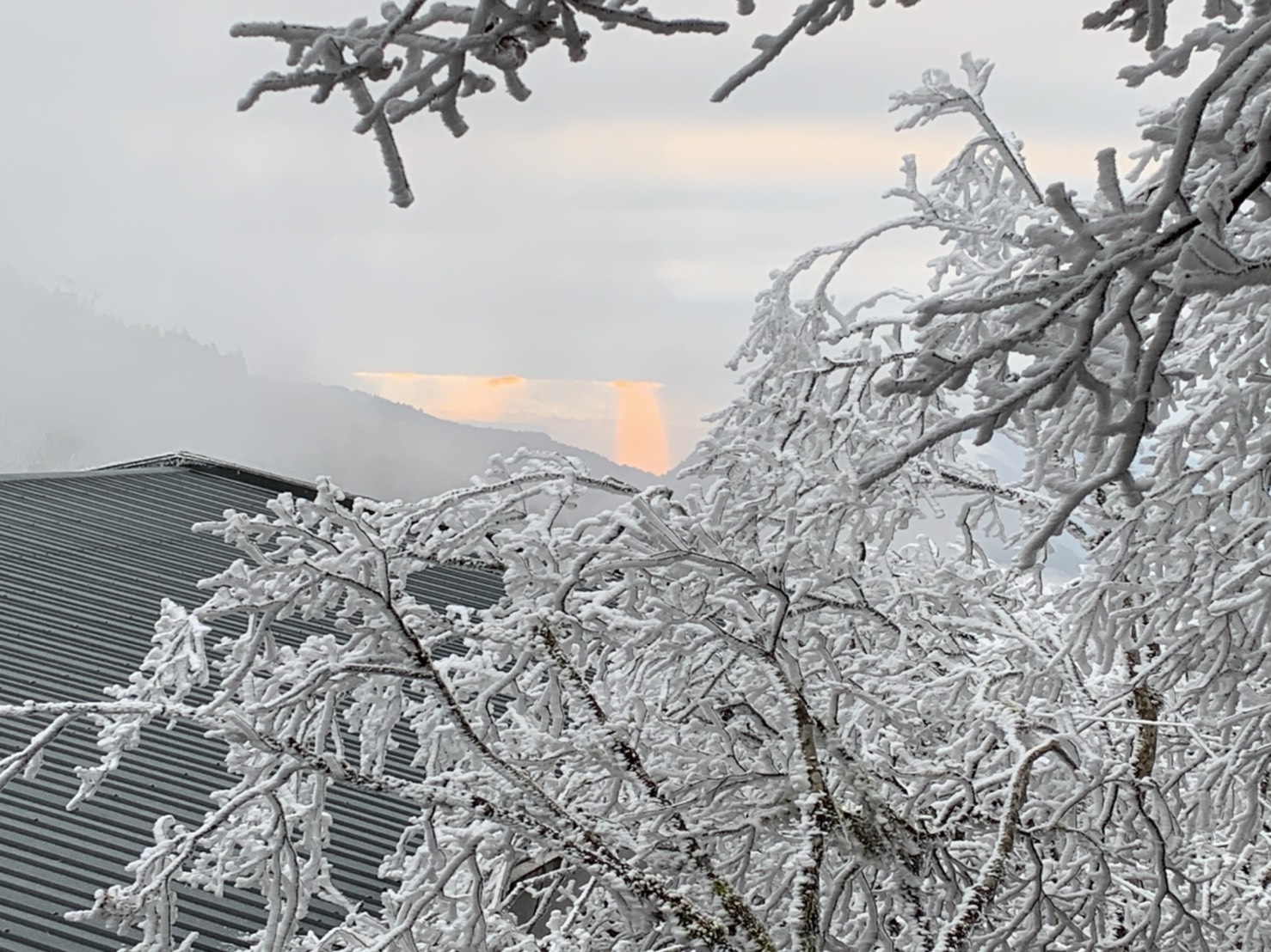 越冷越有趣元旦太平山追日賞雪去　上午9點半入園車輛已達千輛 - https://www.watchmedia01.com