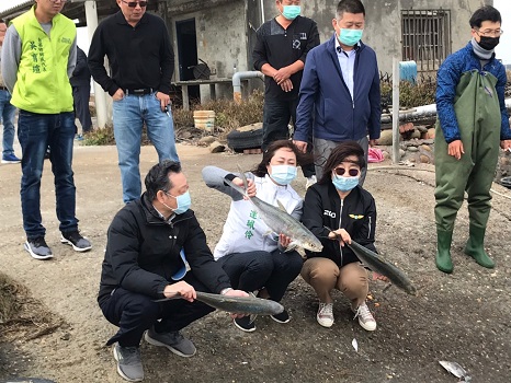 影／跨年夜虱目魚凍死30萬尾　農委會將啟動天然災害救助 - https://www.watchmedia01.com