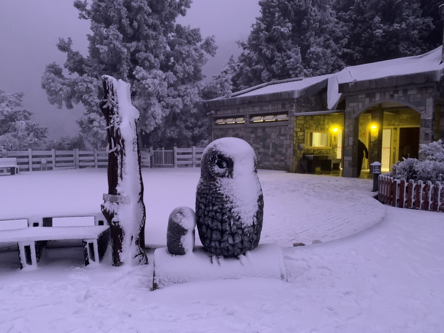 太平山雪景好漂亮！民眾漏夜排隊等待入園車潮綿延數公里 - https://www.watchmedia01.com