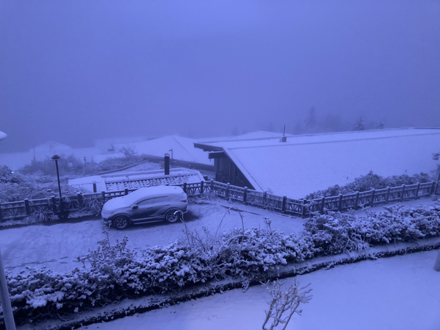 太平山雪景好漂亮！民眾漏夜排隊等待入園車潮綿延數公里 - https://www.watchmedia01.com