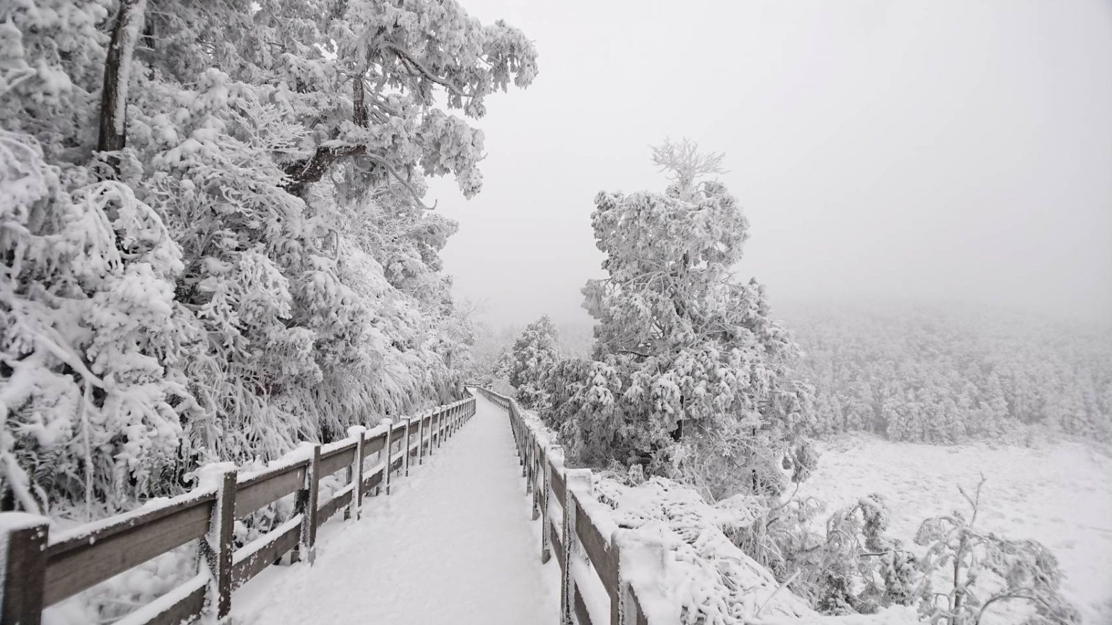 寒流一波接一波 【太平山追雪懶人包】一次掌握全般狀況 - https://www.watchmedia01.com