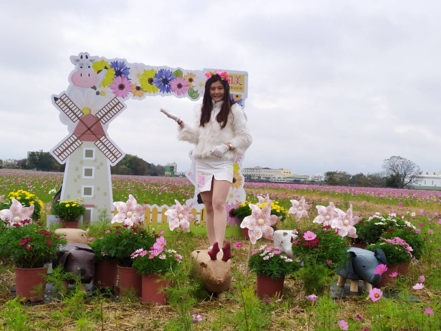 花漾和美周六登場　14公頃大波斯菊現美麗花海 - https://www.watchmedia01.com