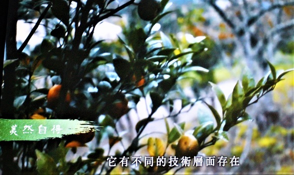 吃果籽拜樹頭微電影頒獎 余英宗奪金果獲獎十萬元 - https://www.watchmedia01.com