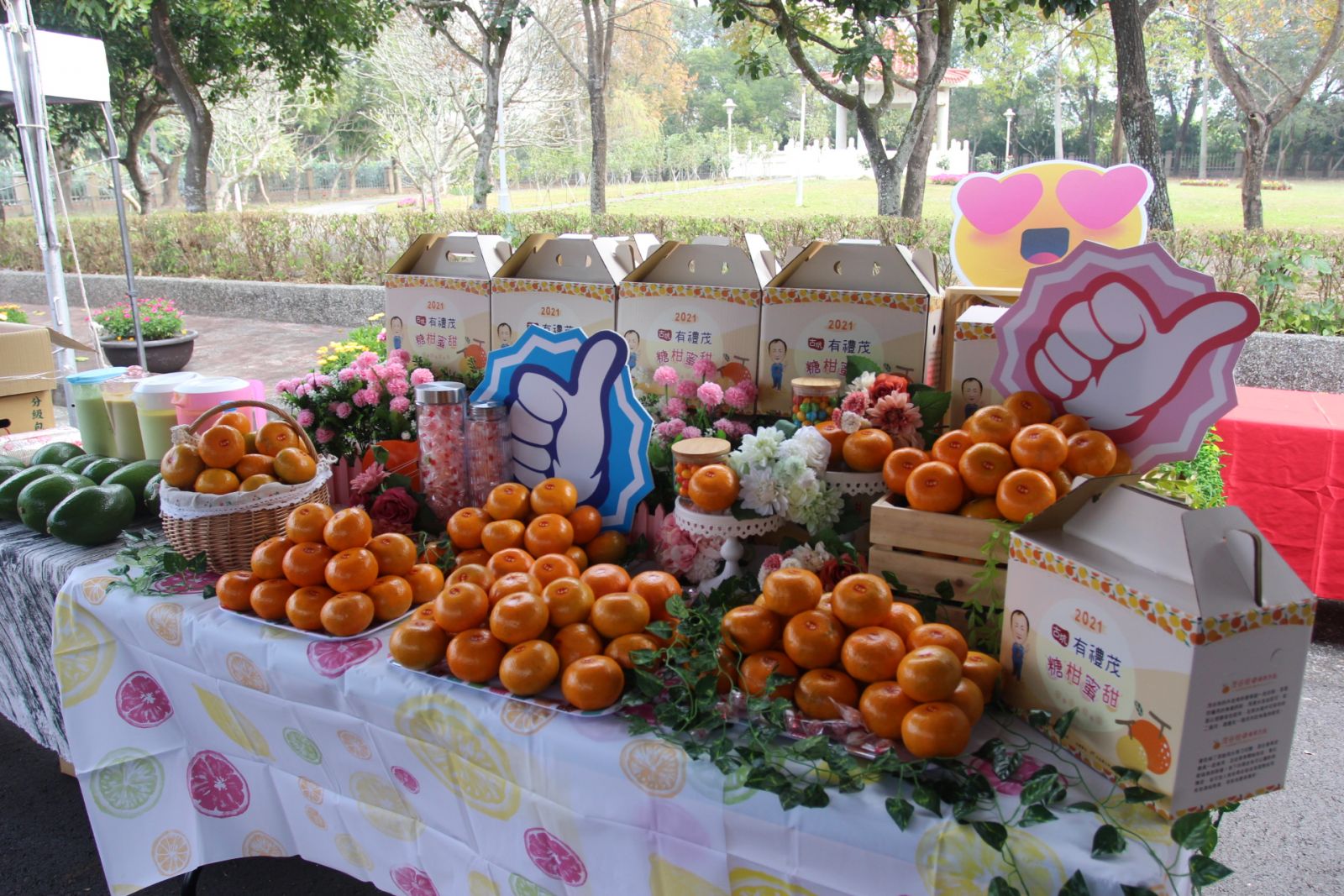 古坑糖柑蜜甜茂谷節登場　免費吃柑好康闖關抽紅包 - https://www.watchmedia01.com