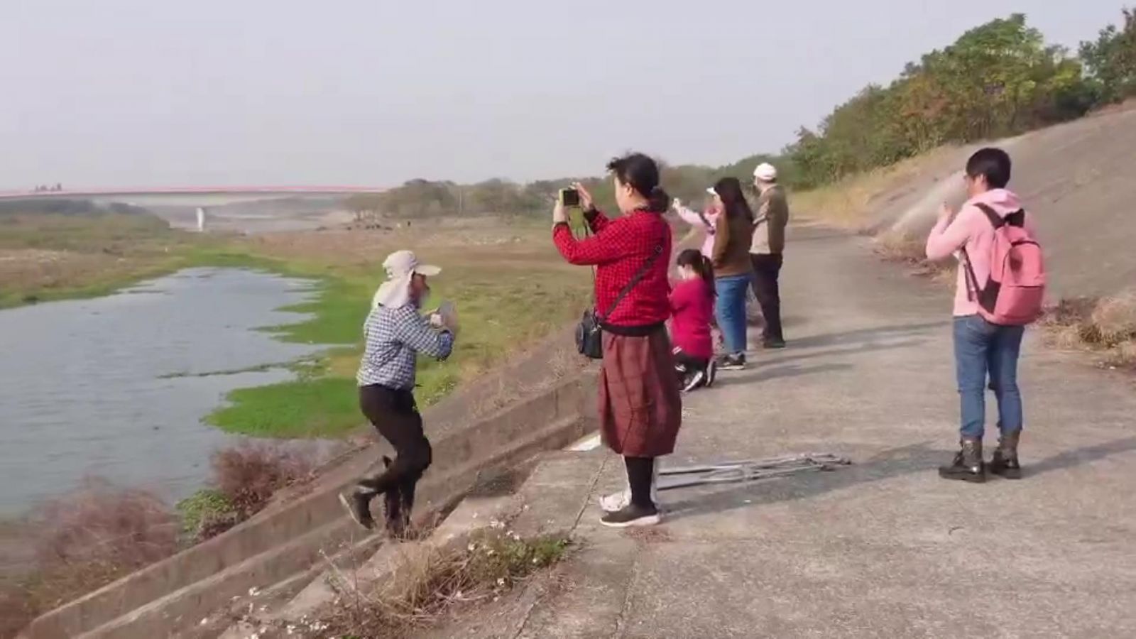 影／塞上風光‧群牛奔騰　貓羅溪畔牛群大遷徙景象成絕響 - https://www.watchmedia01.com
