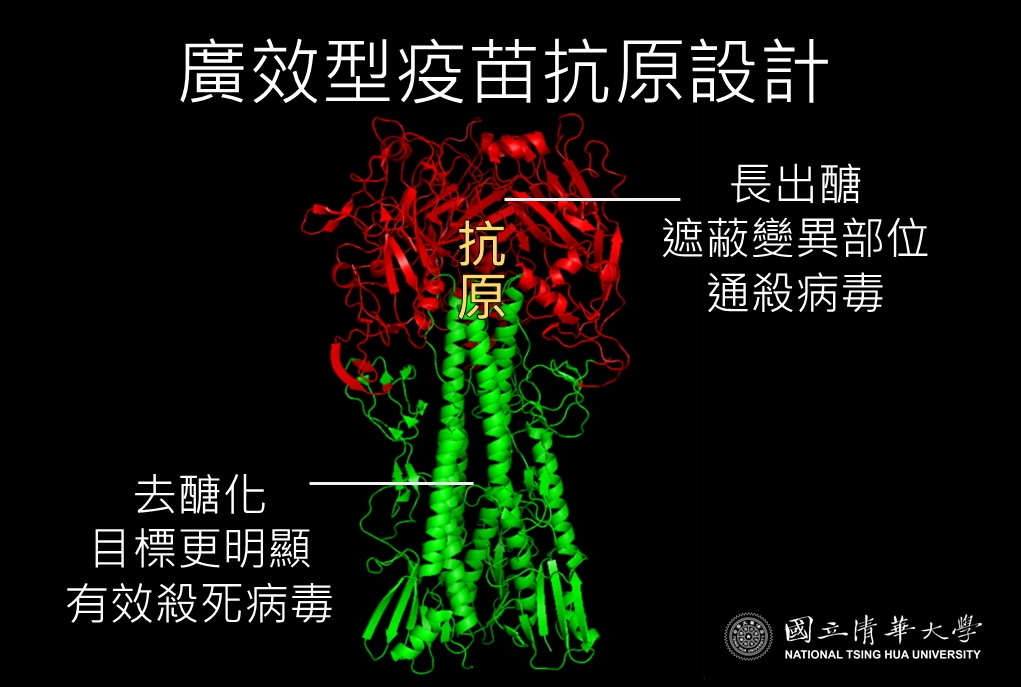 清大團隊研發鼻噴劑流感疫苗 證實防雞隻禽流感有效 - https://www.watchmedia01.com