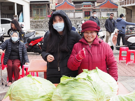 航道下培育出的高麗菜 第五屆澎湖新高麗菜王得主出爐 - https://www.watchmedia01.com