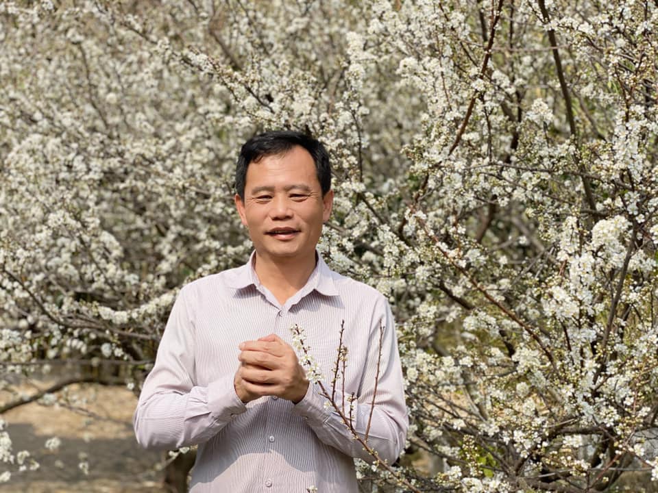 花壇虎山岩雪白李花怒放　好像山頭蓋上白雪 - https://www.watchmedia01.com