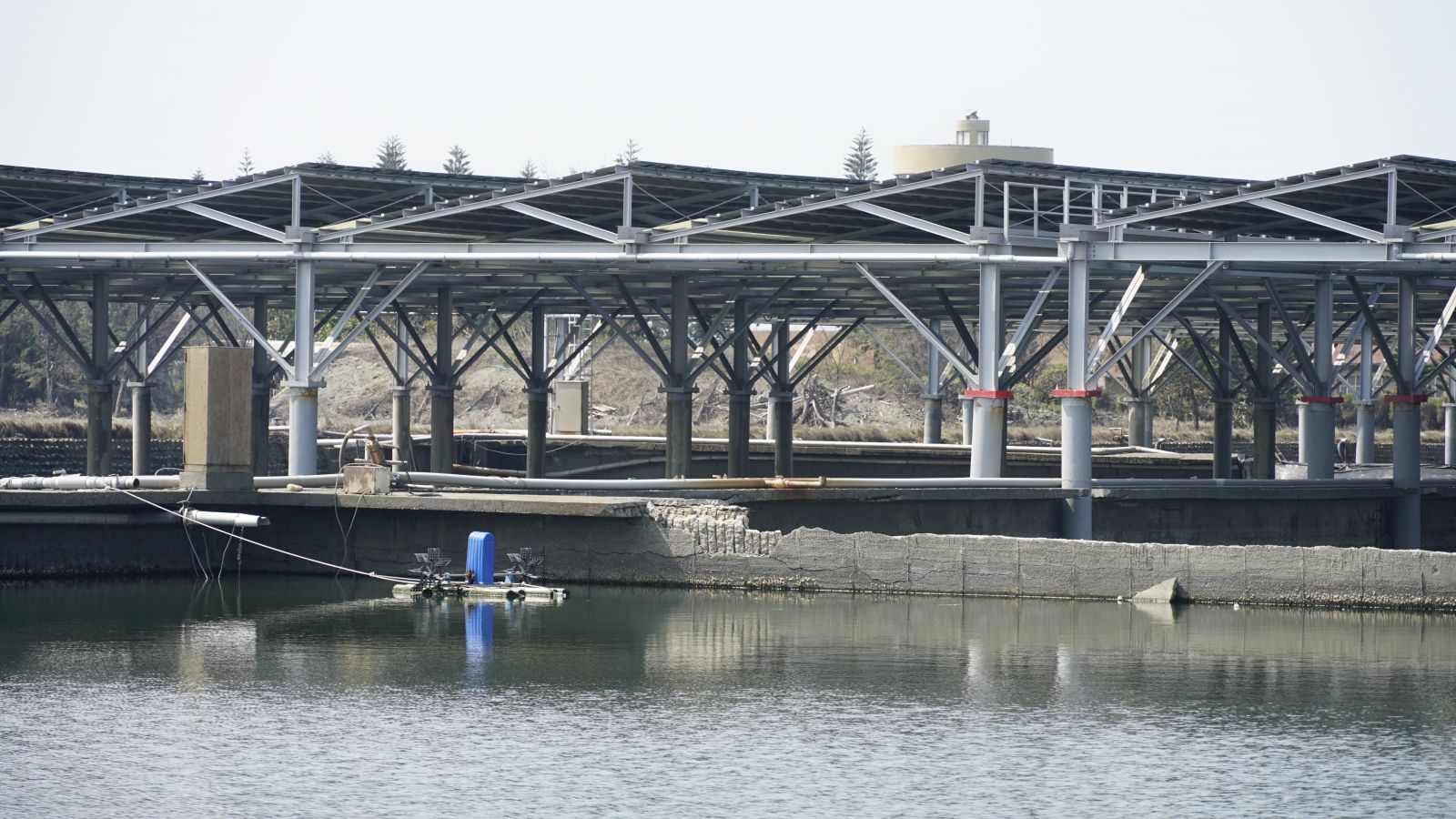 影／牛年開春總統首次離開台北　首站雲林聽取公民電廠簡報 - https://www.watchmedia01.com