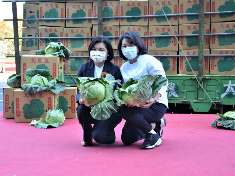 力挺國產高麗菜　嘉市各界響應採購2萬公斤 - https://www.watchmedia01.com