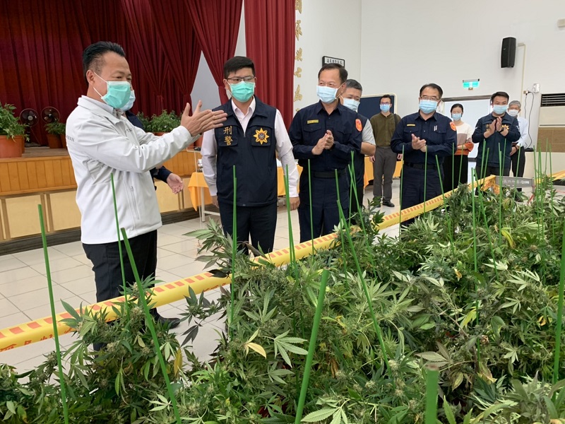 嘉縣警破獲史上最大宗　19處透天新厝種逾5億元大麻毒 - https://www.watchmedia01.com