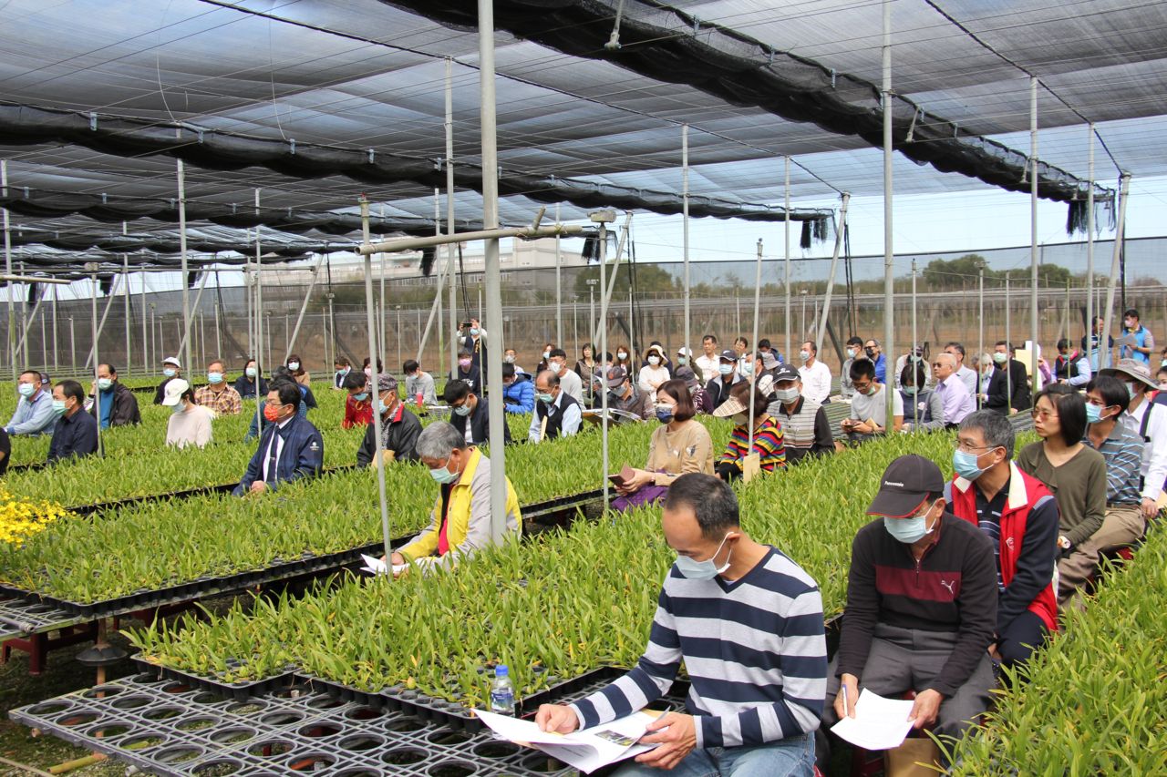臺中區農改場開發智能補光　文心蘭A級切花產量提升5成 - https://www.watchmedia01.com