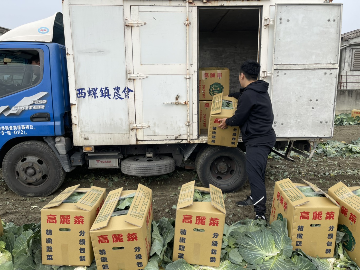 菜賤傷農　廖錦富收購高麗菜挽救菜價 - https://www.watchmedia01.com