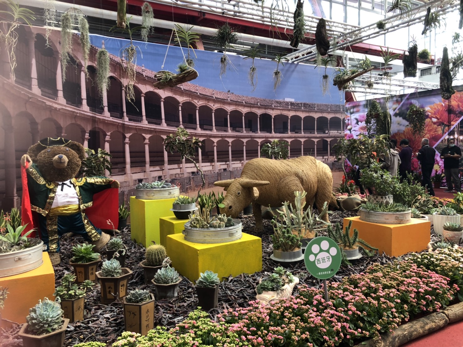 影／把握最後的機會！來彰化溪州公園 環遊「世界花海」 - https://www.watchmedia01.com
