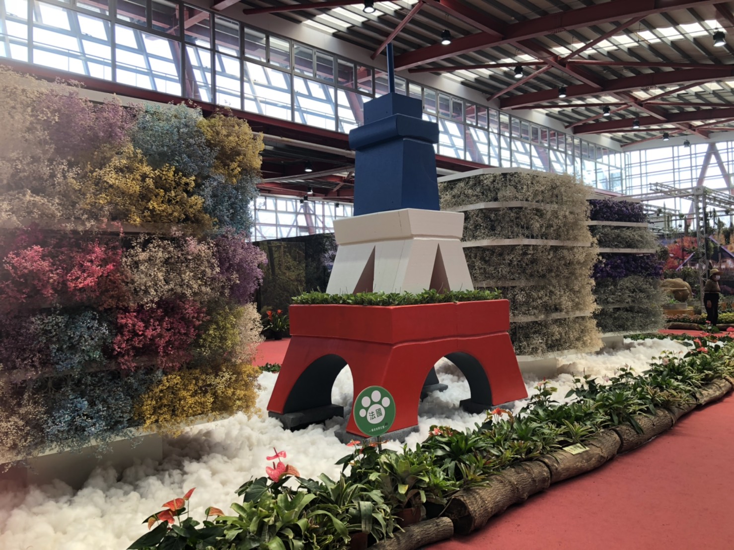 影／把握最後的機會！來彰化溪州公園 環遊「世界花海」 - https://www.watchmedia01.com