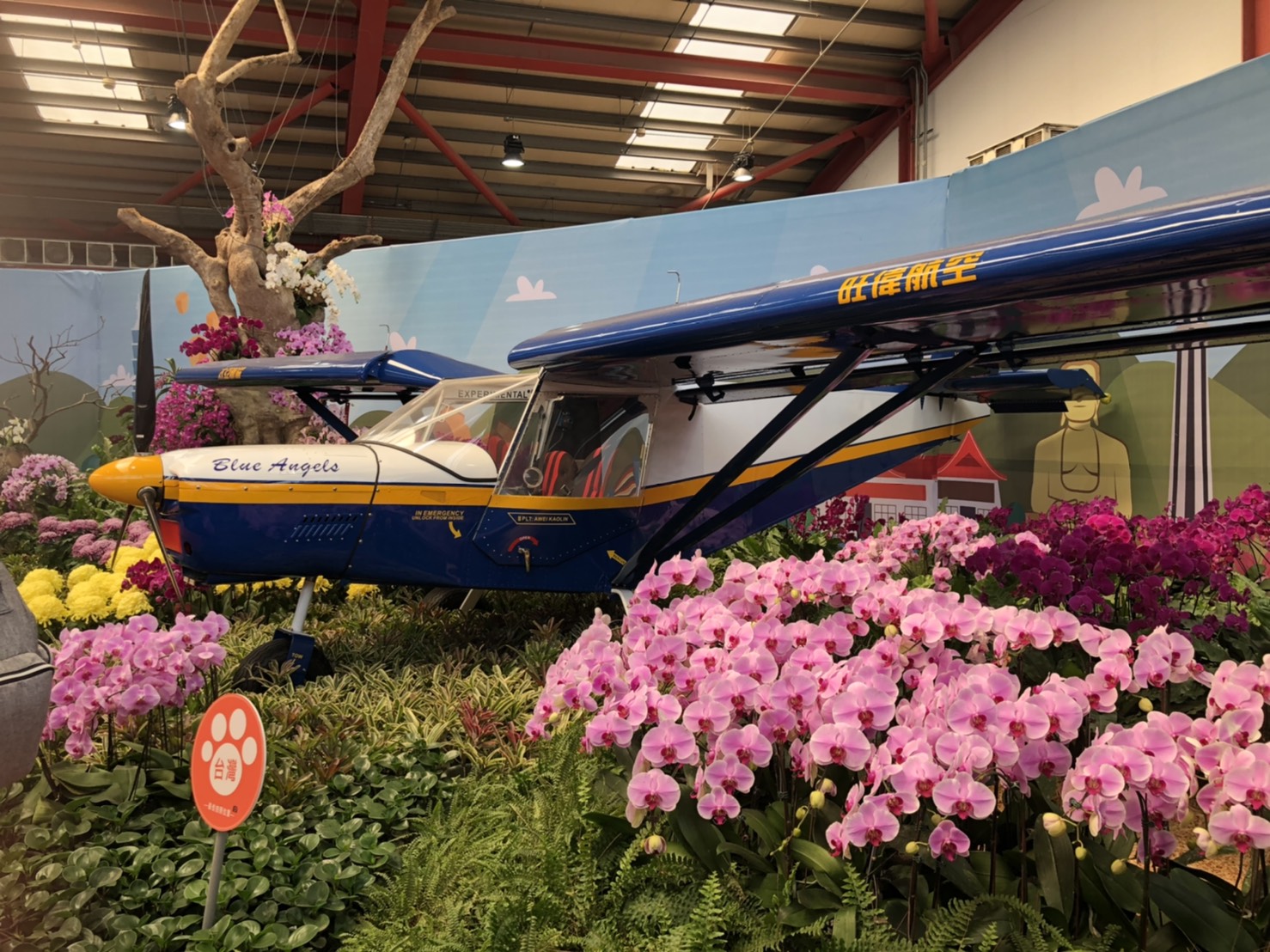 影／把握最後的機會！來彰化溪州公園 環遊「世界花海」 - https://www.watchmedia01.com