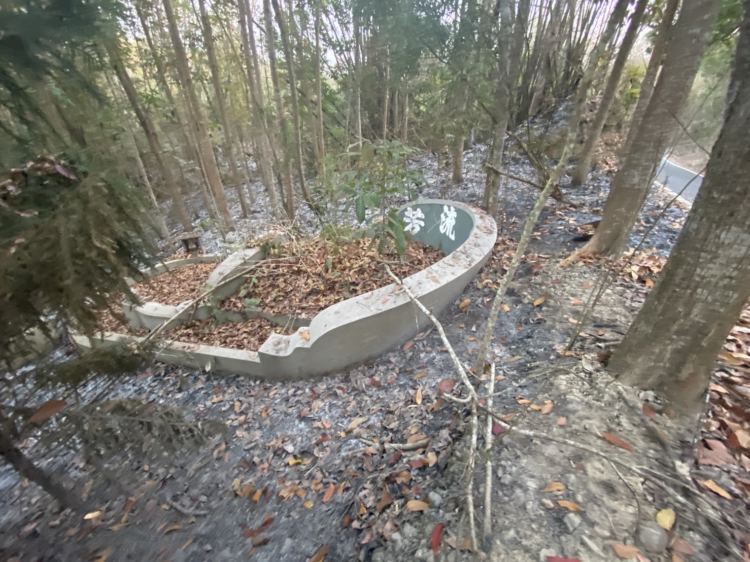 直擊／《高雄火燒山》警消搶救飽受「黑蚊叮咬＋穿越刺竹惡地」　民怨：搶救不易　放火者落跑真缺德 - https://www.watchmedia01.com